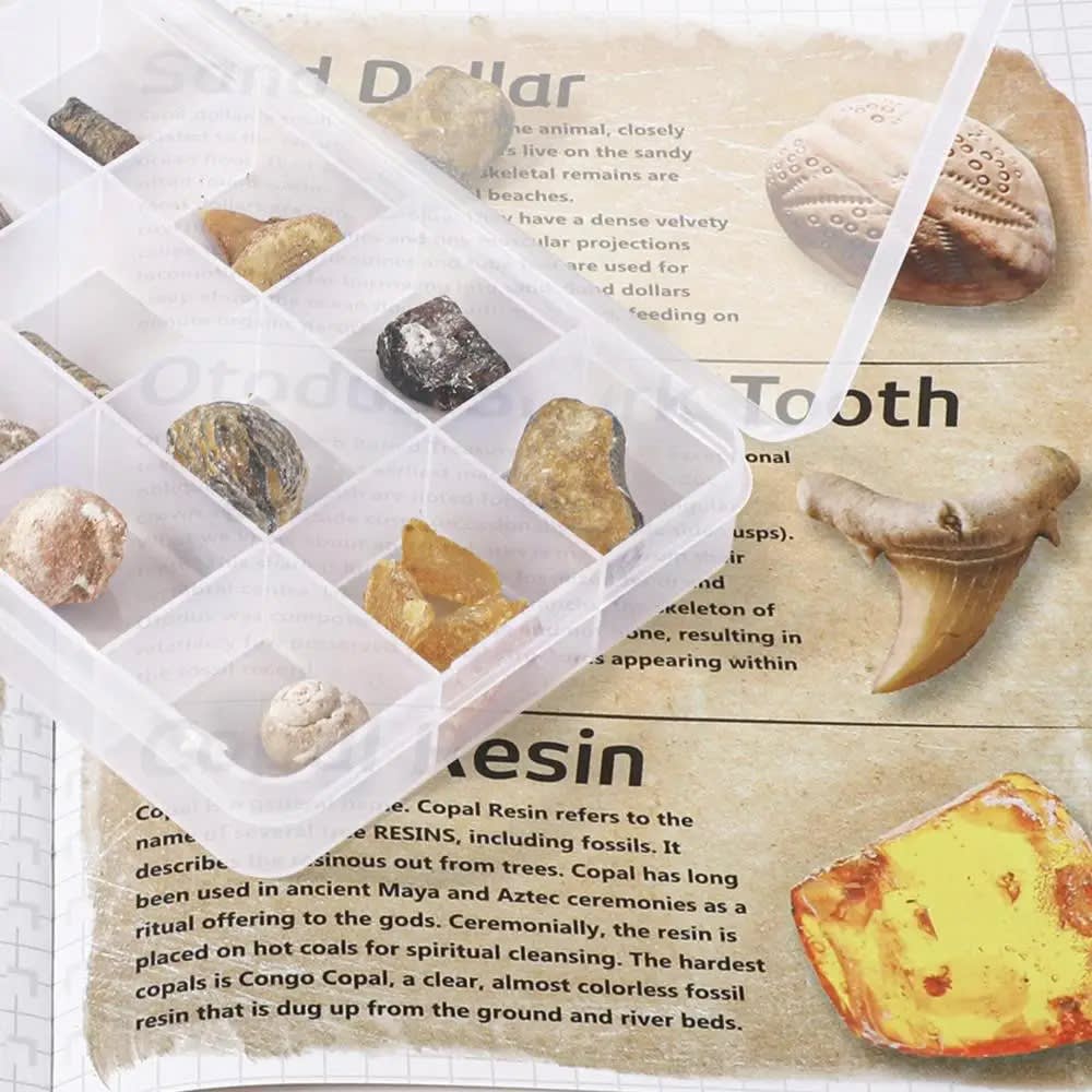 Dinosaur Fossils Excavation Kit - Educational Archeology Toy Set for Kids